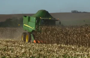 Espírito Santo inicia colheita do café arábica com boas expectativas