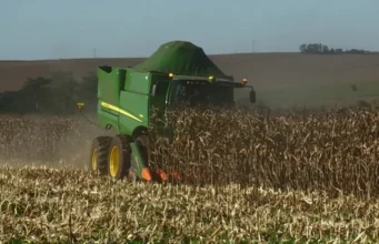 Espírito Santo inicia colheita do café arábica com boas expectativas