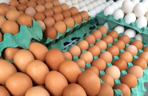 Preço dos ovos recua mais de 10% em maio, aponta Cepea