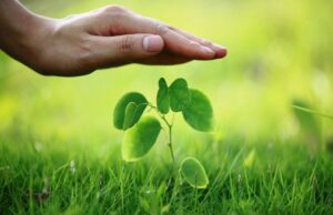 Seguro rural cobre só 14% das lavouras no Brasil