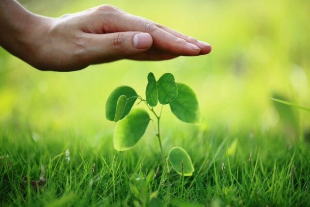 307978-seguro-rural-o-que-voce-precisa-saber-sobre-o-assunto-1024x683