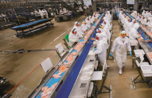 Empregos no agro brasileiro batem recorde com 28,5 milhões de ocupações