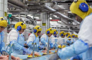 Marfrig e BRF se unem e criam gigante global