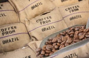 Exportações de café caem em volume, mas receita bate recorde
