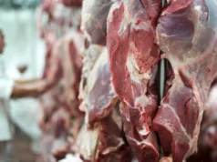 Exportações carne bovina seguem firmes e ajudam a sustentar arroba do boi gordo