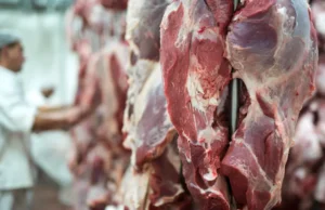 Exportações carne bovina seguem firmes e ajudam a sustentar arroba do boi gordo