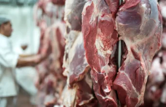 Exportações carne bovina seguem firmes e ajudam a sustentar arroba do boi gordo