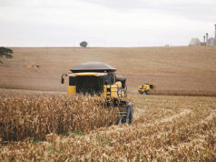 Mesmo com geadas, lavouras do Paraná mantêm grande ritmo produtivo