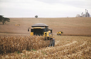 Mesmo com geadas, lavouras do Paraná mantêm grande ritmo produtivo