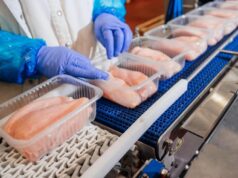 Exportação de carne de frango sofre queda em junho após gripe aviária