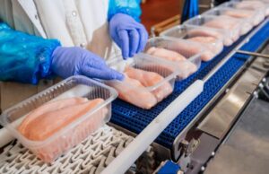 Exportação de carne de frango sofre queda em junho após gripe aviária