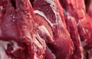 Exportação de carne bovina in natura bate recorde até maio