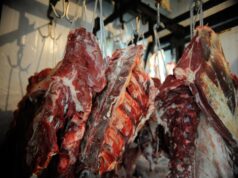 Cresce o mercado internacional para carne bovina brasileira