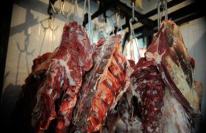 Cresce o mercado internacional para carne bovina brasileira