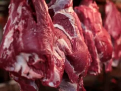 Carne bovina de Mato Grosso atinge maior valor desde 2022