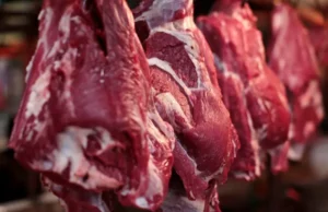 Carne bovina de Mato Grosso atinge maior valor desde 2022