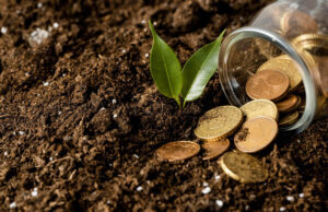 Linhas de crédito alternativas ganham espaço no setor agro