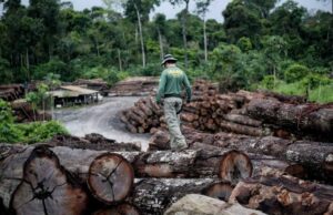 Nova lei agrava penas por crimes ambientais no Brasil