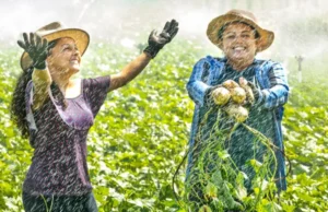 Projeto apoia mulheres no agro e empreendedorismo rural feminino