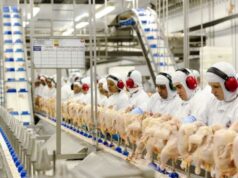 Carne de frango volta a subir com exportações liberadas