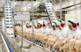 Carne de frango volta a subir com exportações liberadas